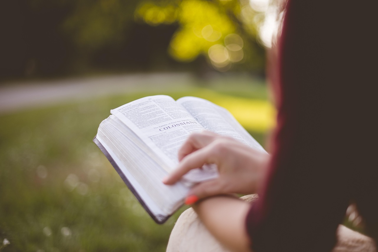 book, college, education, girl, literature, outdoors, paper, park, people, relaxation, summer, woman, reading, study, nature, student, brown book, brown books, brown education, brown paper, brown reading, brown relax, brown study, brown summer, brown park, brown studying
